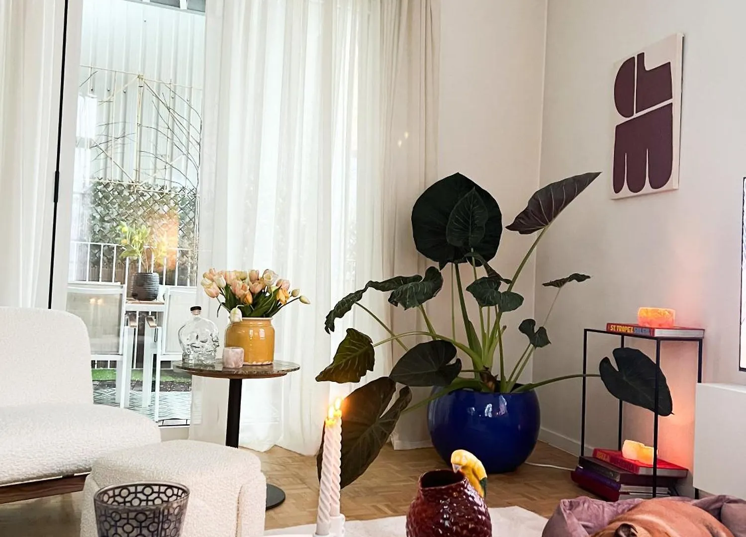 Apartment Luxueuze Penthouse In Historisch Centrum Antwerpen Belgien